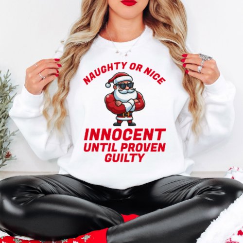 Funny Christmas Naughty or Nice _ Prove it T_Shirt