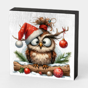 Funny Christmas Owl Wooden Box Sign