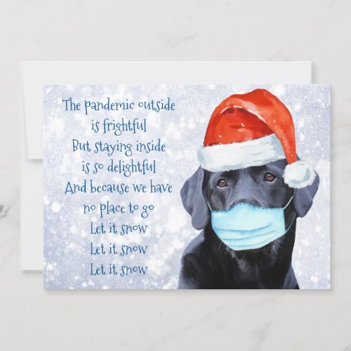 Funny Christmas Pandemic Quarantine Santa Dog Holiday Card