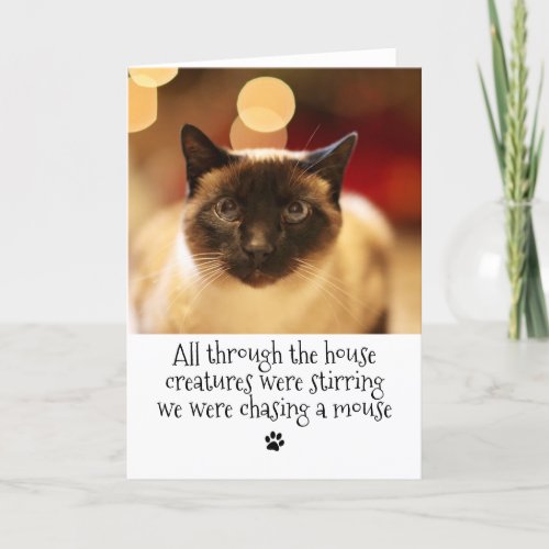 Funny Christmas Pet Cat Holiday Card