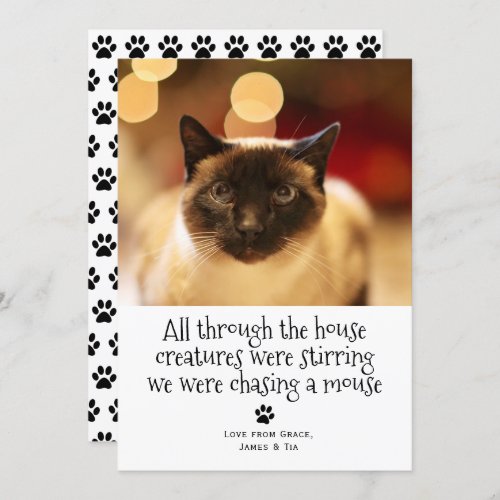 Funny Christmas Pet Cat Holiday Card