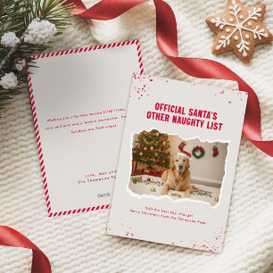 Funny Christmas Picture With Cute Dogs Holiday Card