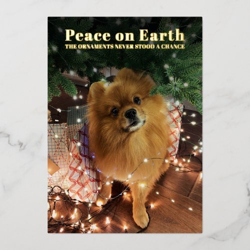 Funny Christmas Pomeranian Dog Peace on Earth Foil Holiday Card