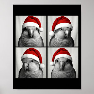 Funny Christmas Quaker Parrot Santa Photo Booth  Poster