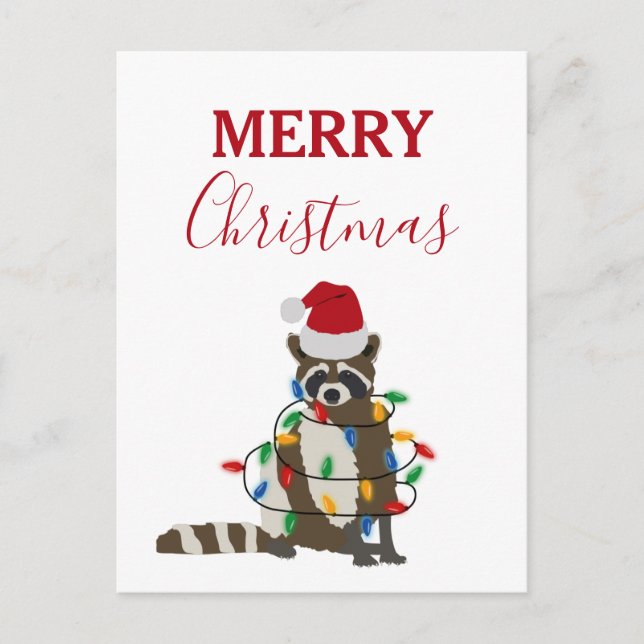 Funny Christmas Raccoon Santa Hat Xmas Lights Holiday Postcard (Front)