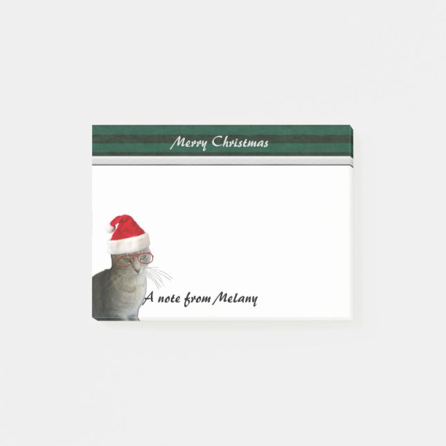 Funny Christmas santa cat Post-it Notes (Front)