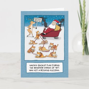 Funny Christmas: Santa's Sleigh Cats Holiday Card by chuckink at Zazzle