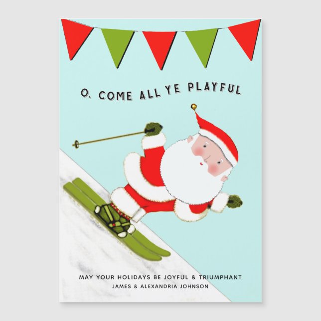 Funny Christmas Ski Holiday Cards (Front)