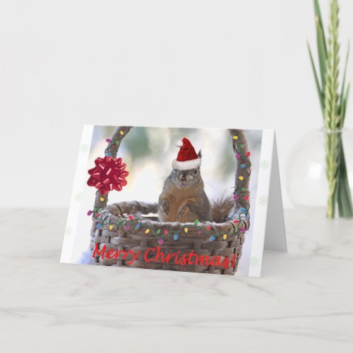 Funny Christmas Squirrel Holiday Card