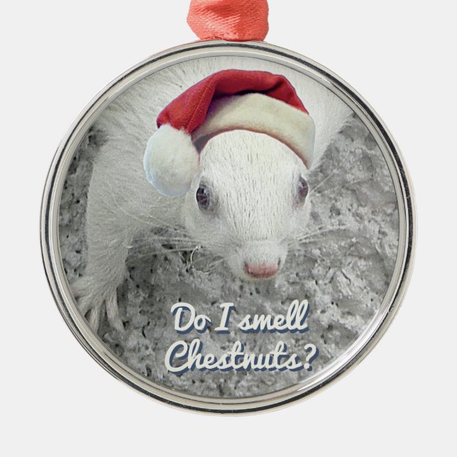 Funny Christmas Squirrel Metal Ornament (Front)