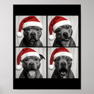 Funny Christmas Staffordshire Bull Terrier Santa P Poster