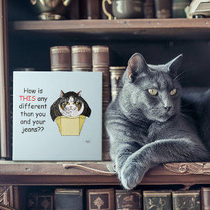 Funny Chubby Tabby Cat Box Ceramic Tile