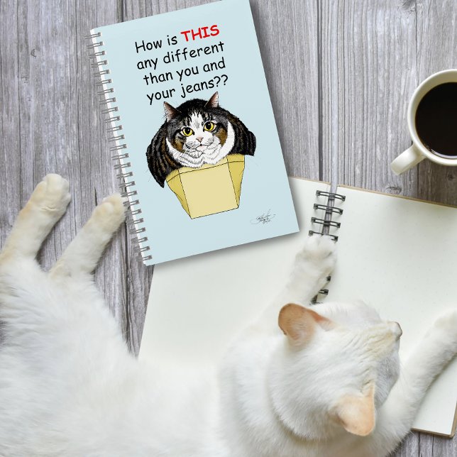 Funny Chubby Tabby Cat Box Notebook (Creator Uploaded)