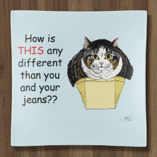Funny Chubby Tabby Cat Box Trinket Tray