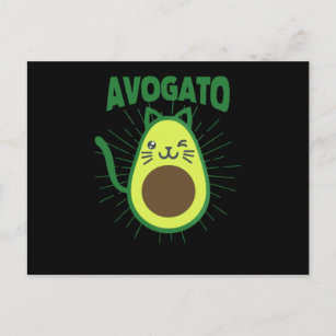 Funny Cinco De Mayo Cats Mexican Meow Cat Postcard