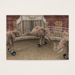 Funny Circus Elephants