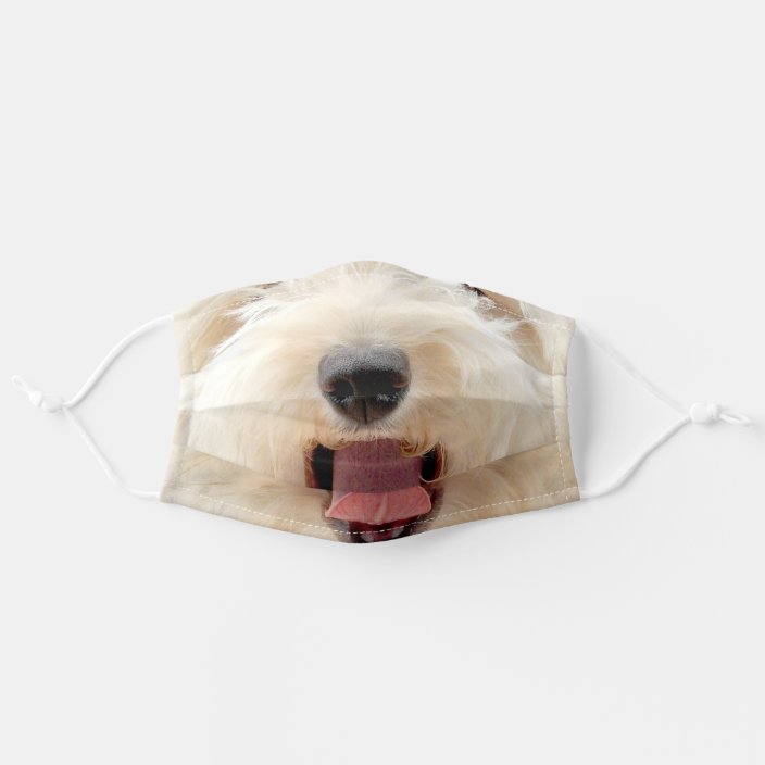 dog mouth mask