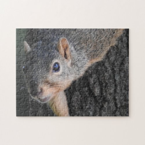 Funny Close Up Squirrel Face Photo Jigsaw Puzzle