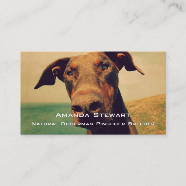 Funny Closeup of a Natural Doberman Dog Business Card (Front)
