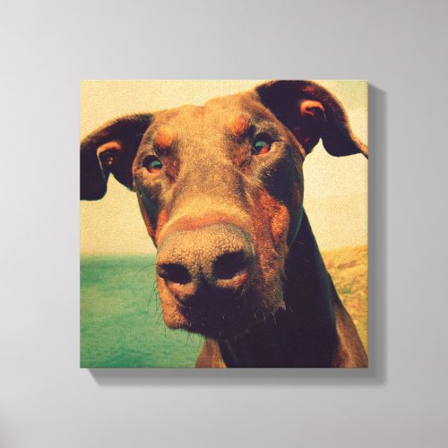 Funny Closeup of a Natural Doberman Dog Canvas Print