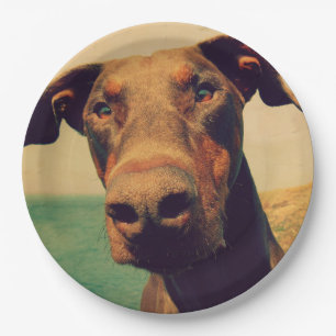 Funny Closeup of a Natural Doberman Dog Paper Plates