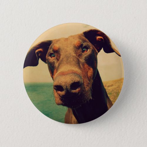 Funny Closeup of a Natural Doberman Dog Pinback Button