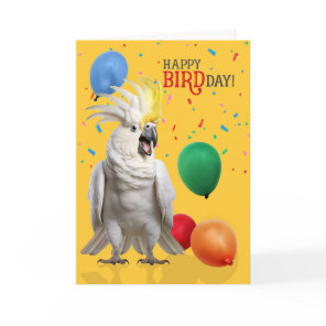 Funny Cockatoo Parrot Birthday Humor Card