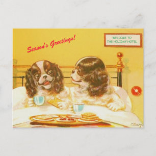Funny Cocker Spaniels in Bed Vintage Holiday copy Postcard