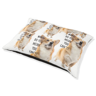 Funny Collage Corgi Meme Pet Bed