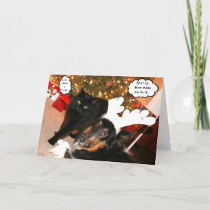 Funny Collie & Black Cat Christmas Card