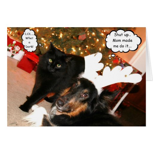 Funny Dog Cat Christmas Cards, Funny Dog Cat Christmas Card Templates ...