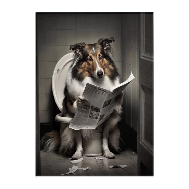Funny Collie on Bathroom Toilet   Acrylic Print (Front)