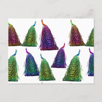 Funny Color Pop Peacocks Birds Feathers Postcard by azlaird at Zazzle