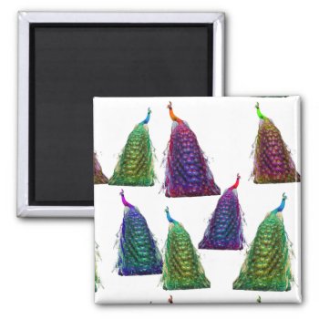 Funny Color Pop Peacocks Birds Feathers Postcard Magnet by azlaird at Zazzle