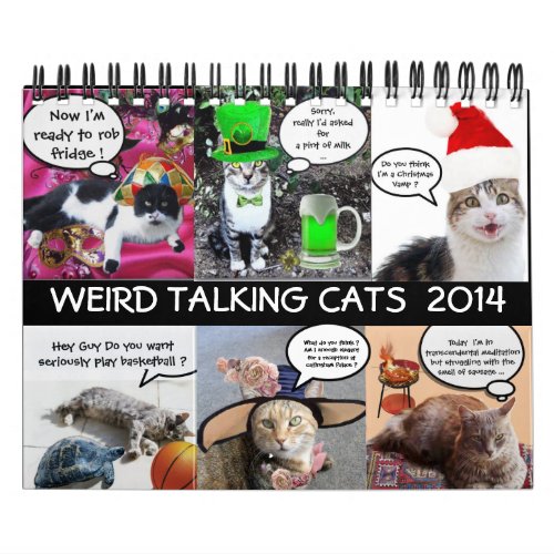FUNNY COMIC STRIPS FROM WEIRD TALKING CATS 2014 CALENDAR