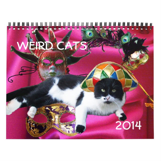 FUNNY COMIC STRIPS FROM WEIRD TALKING CATS 2014 CALENDAR (Cover)