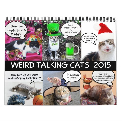 FUNNY COMIC STRIPS FROM WEIRD TALKING CATS 2015 CALENDAR