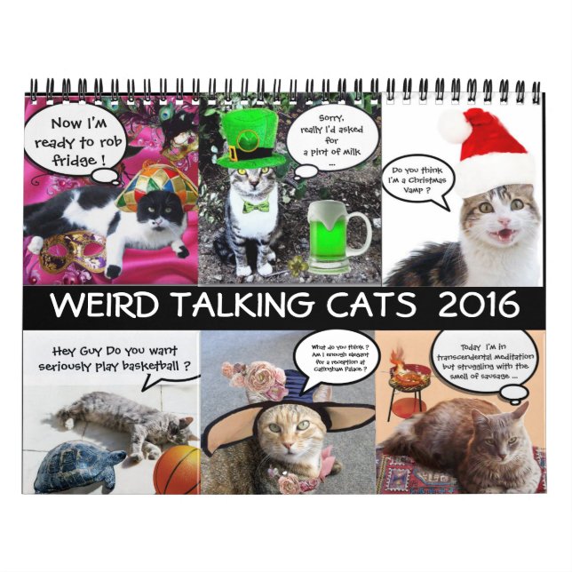 FUNNY COMIC STRIPS FROM WEIRD TALKING CATS 2016 CALENDAR (Cover)
