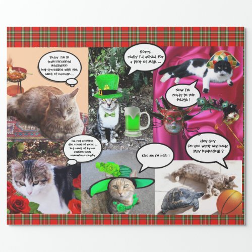 FUNNY COMIC STRIPS WEIRD TALKING CATS Red Tartan Wrapping Paper