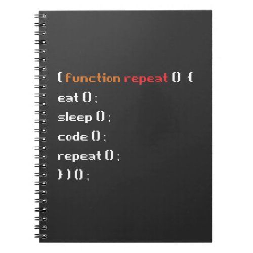 Funny Computer Science Coder Programmer Function Notebook