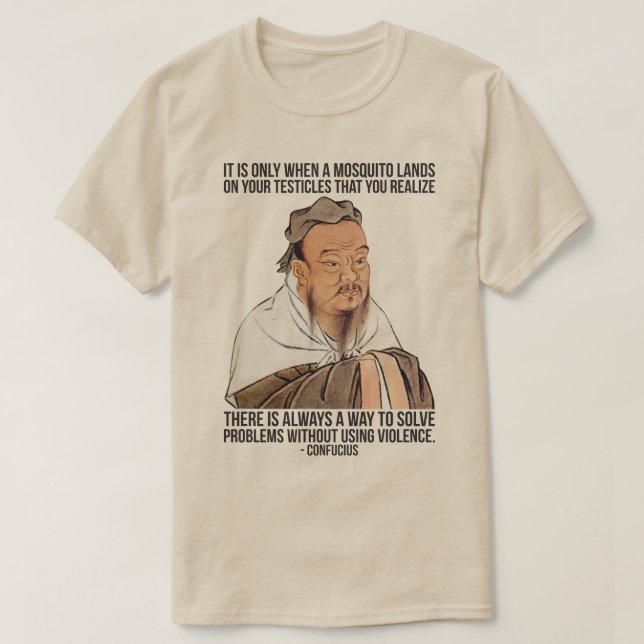 Funny Confucius Quote - Mosquito on Testicles T-Shirt (Design Front)