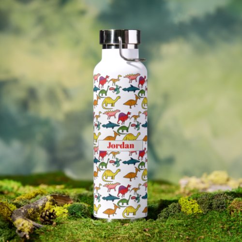 Funny Cool Dinosaur Pattern Personalised Water Bottle