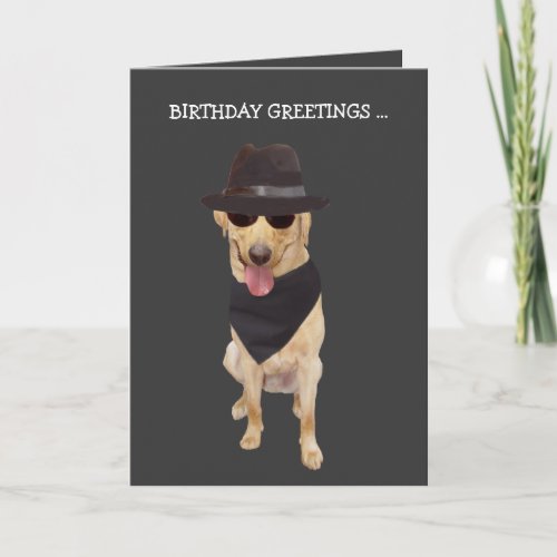 Funny Cool DogLab from Group Card