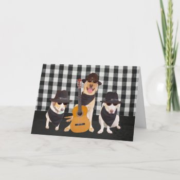 Funny Cool Dogs Card by myrtieshuman at Zazzle