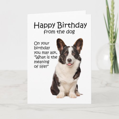 Funny Corgi Birthday Card