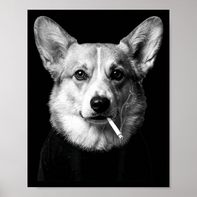 Funny corgi dog smoking meme smoking dog cigarette poster (Front)