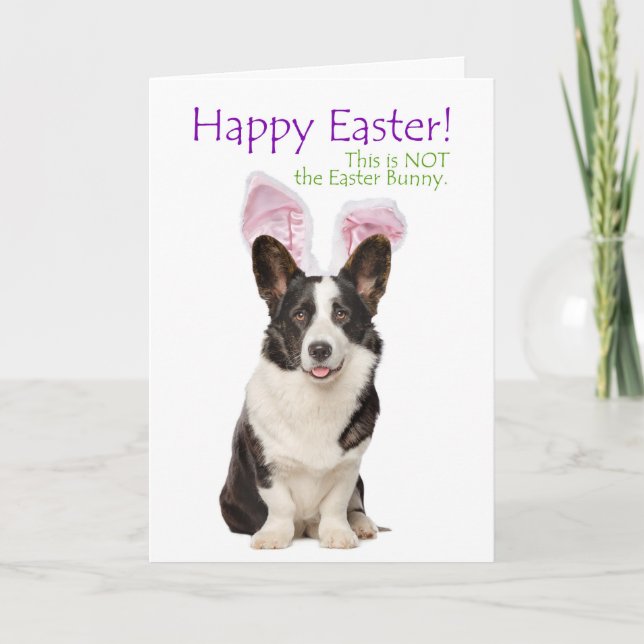 Funny Corgi Easter Card (Front)
