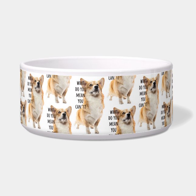 Funny Corgi Meme Bowl (Front)