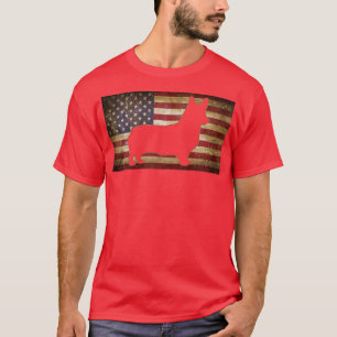 Funny Corgi Pinscher Art For Men Women Corgi US Fl T-Shirt