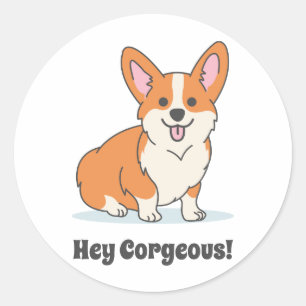 Funny Corgi Puppy - Hey Corgeous Classic Round Sticker